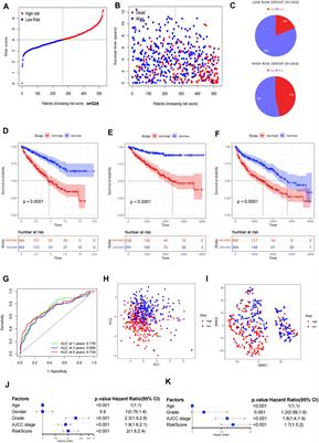 An Aging and Senescence-Related Gene Signature for Prognosis Prediction in Clear Cell Renal Cell Carcinoma